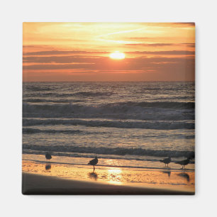 Möwen am Meer bei Sonnenuntergang Magnet