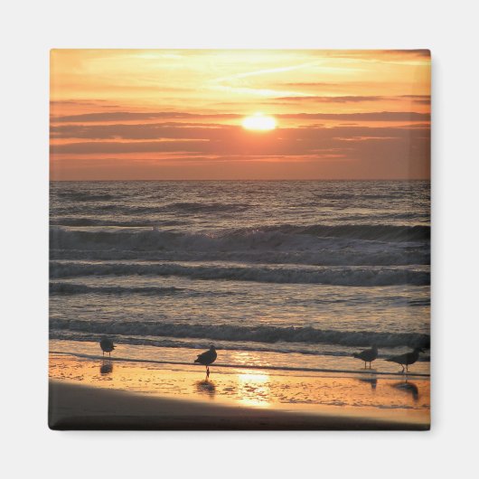 Möwen am Meer bei Sonnenuntergang Magnet (Vorne)