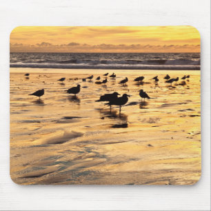 Möwen am Strand bei Sonnenuntergang Mousepad