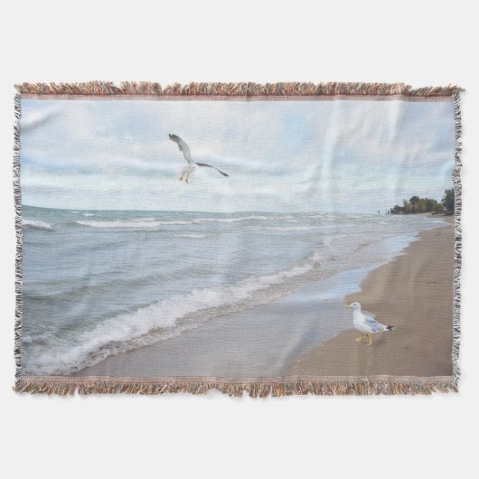 Möwen am Strand Decke (Vorderseite)