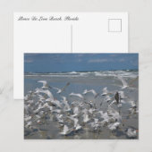 Möwen am Strand Postkarte (Vorne/Hinten)