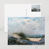 Möwen am Strand Postkarte (Vorne/Hinten)