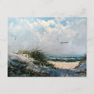 Möwen am Strand Postkarte