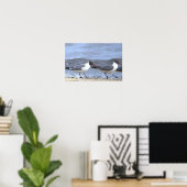 Möwen am Ufer Poster (Heimbüro)