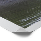Möwen am Wasser Poster (Ecke)
