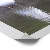 Möwen am Wasser Poster (Ecke)