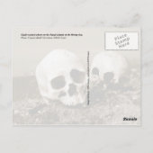 Möwen an der Küste der Punuk-Inseln, Beringmeer Postkarte (Rückseite)