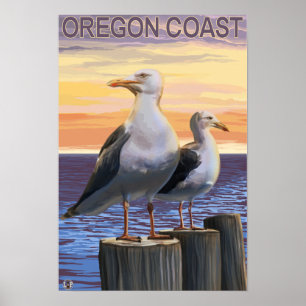 Möwen an der Küste von Oregon Poster