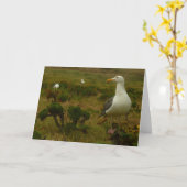 Möwen auf der Insel Anacapa Karte (Gelbe Blume)