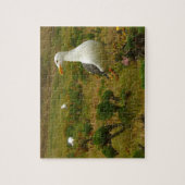 Möwen auf der Insel Anacapa Puzzle (Vertikal)