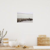 Möwen auf Felsen Poster (Küche)