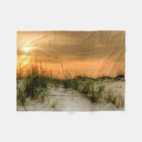 Möwen bei Sonnenaufgang