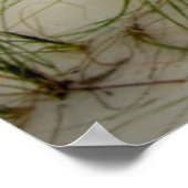 Möwen bei Sonnenaufgang Poster (Ecke)