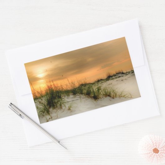 Möwen bei Sonnenaufgang Rechteckiger Aufkleber (Umschlag)