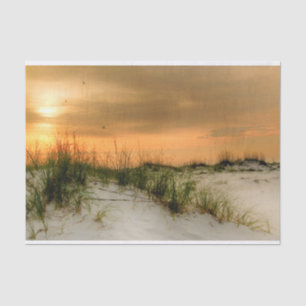 Möwen bei Sonnenaufgang Seidenpapier