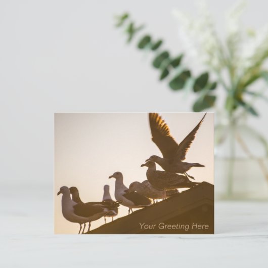 Möwen bei Sonnenuntergang Personalisiert Postkarte (Stehend Vorderseite)