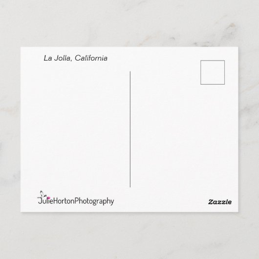 Möwen bei Sonnenuntergang Personalisiert Postkarte (Rückseite)