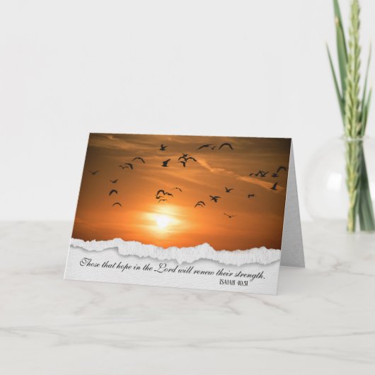 Möwen bei Sunset Sympathy Card Karte (Vorderseite)
