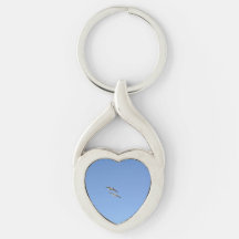 Möwen, die hoch fliegen -