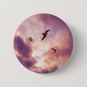 Möwen fliegen in einem Sonnenuntergang Button