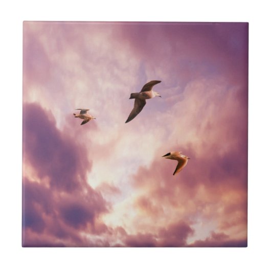 Möwen fliegen in einem Sonnenuntergang Fliese (Vorderseite)