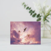 Möwen fliegen in einem Sonnenuntergang Postkarte (Stehend Vorderseite)