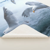 Möwen fliegen über das Meer Sherpadecke (3/4)