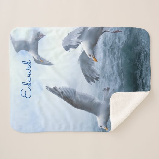 Möwen fliegen über das Meer Sherpadecke (Vorderseite (Horizontal))