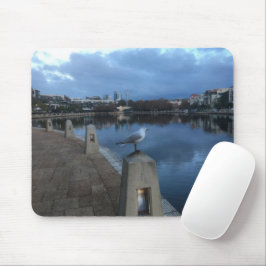 Möwen-Foto Mousepad