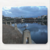 Möwen-Foto Mousepad (Vorne)