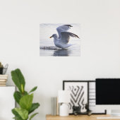 Möwen-Foto-Poster Poster (Heimbüro)