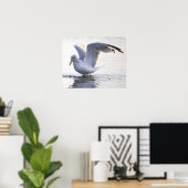 Möwen-Foto-Poster Poster (Heimbüro)