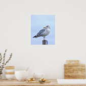 Möwen-Foto-Poster Poster (Küche)