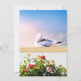 Möwen-Fotokarte, Geschenk zur Küsten-Natur, Innen Dankeskarte