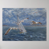 Möwen führen voran poster (Vorne)