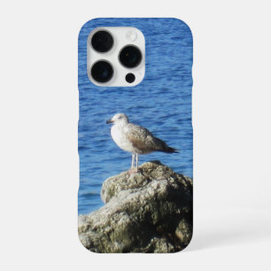 Möwen-Handyhülle iPhone 16 Pro Hülle
