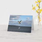 Möwen im Flug Karte (Gelbe Blume)
