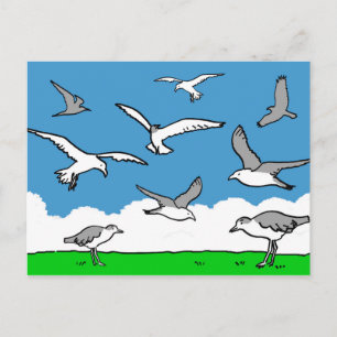 Möwen im Flug Postkarte