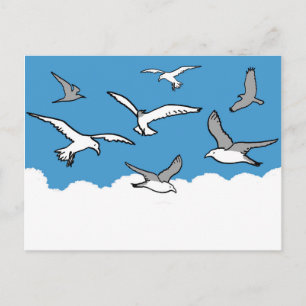 Möwen im Flug Postkarte