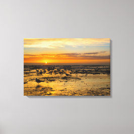 Möwen im Sonnenuntergang Leinwanddruck