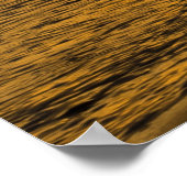 Möwen im Sonnenuntergang Poster (Ecke)