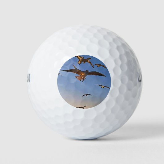 Möwen in der Schwarzen Kontur Golfball (Vorderseite)