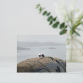 Möwen in Kennebunkport, Maine Postkarte (Stehend Vorderseite)