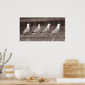Möwen in Reihe Poster (Küche)