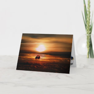 Möwen - Liebesvögel bei Sonnenuntergang Valentinst Feiertagskarte