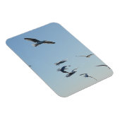 Möwen mit vertikalem flexiblem Foto Magnet (Rechte Seite)