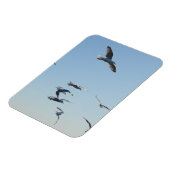 Möwen mit vertikalem flexiblem Foto Magnet (Linke Seite)