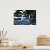 Möwen, Monterey Poster (Küche)