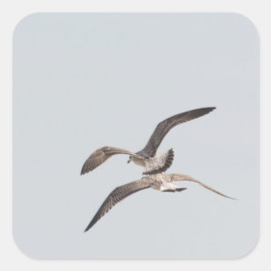 Möwen Quadratischer Aufkleber