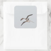 Möwen Quadratischer Aufkleber (Tasche)